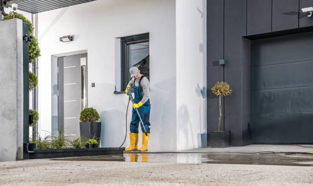 Best Soft Washing  in Riverview, MI
